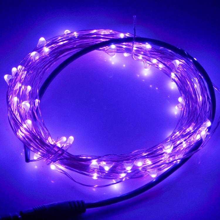 SUNSKY - 10m 12V 6W 500LM LED الفضة سلك سلسلة الخفيفة