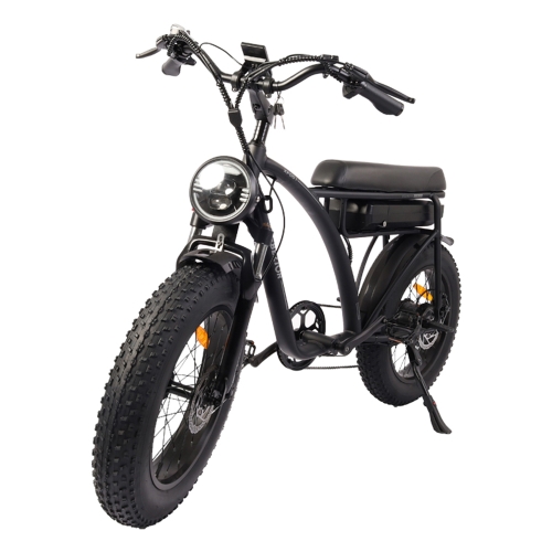 

[UK Warehouse] BEZIOR XF001 1000W 48V 12.5AH Retro Electric Bicycle with LCD Digital Display & 20 inch Tires, UK Plug