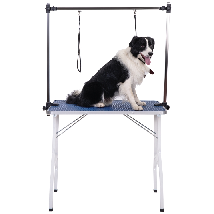 dog drying table