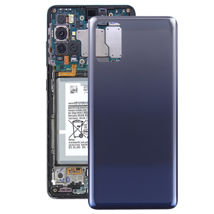 

For Samsung Galaxy M31s 5G SM-M317F Battery Back Cover (Blue)