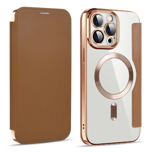 

For iPhone 15 Pro Shield MagSafe RFID Anti-theft Leather Phone Case(Brown)