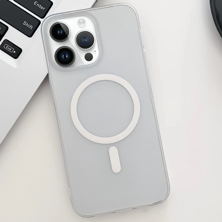 

For iPhone 13 Pro Max Ice Fog MagSafe PC Phone Case(White)