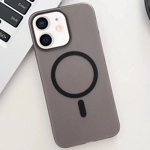 

For iPhone 12 Ice Fog MagSafe PC Phone Case(Black)