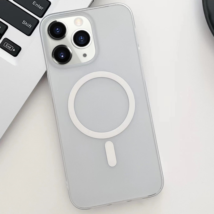 

For iPhone 11 Pro Ice Fog MagSafe PC Phone Case(White)