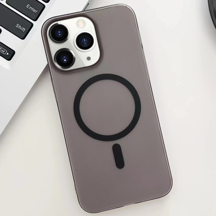 

For iPhone 11 Pro Ice Fog MagSafe PC Phone Case(Black)