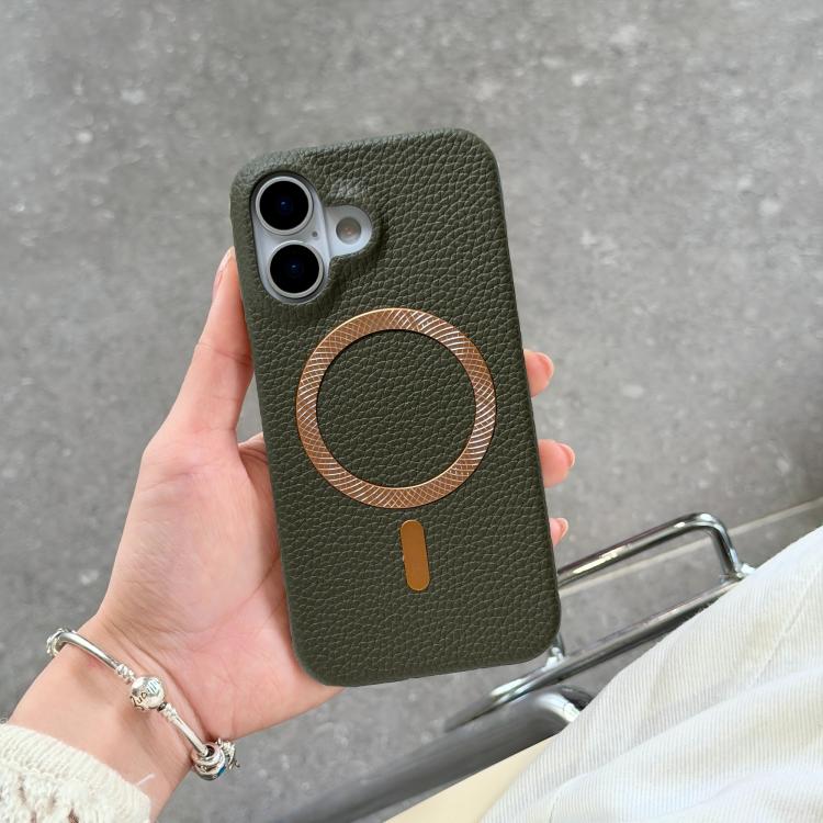 

For iPhone 17 Litchi Texture Brushed MagSafe PU Back Cover Phone Case(Green)
