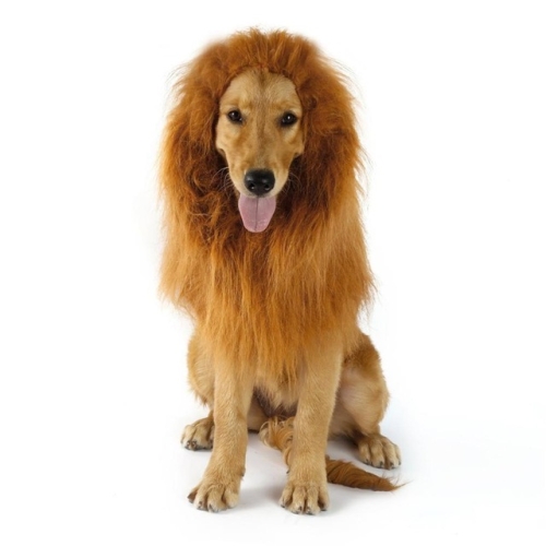 lion mane fancy dress