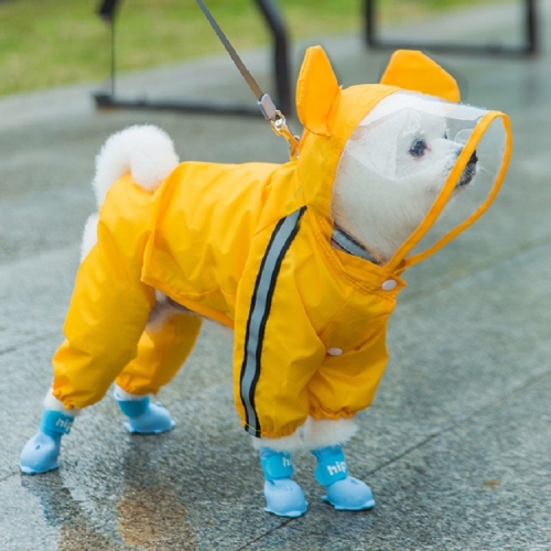 cartoon bear with yellow raincoat