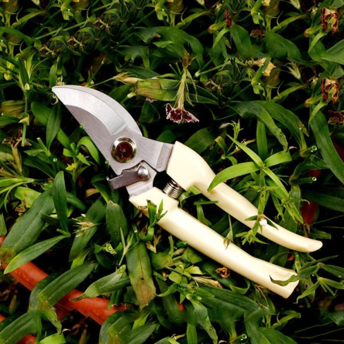 Садовые ножницы для обрезки деревьев - цена в Грозном
