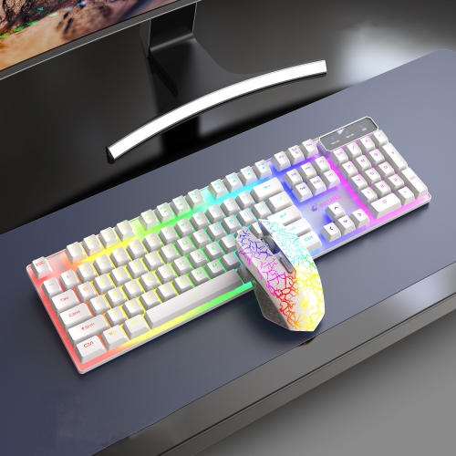 formaat regisseur Millimeter ZIYOULANG T3 Draadloos opladen Gaming verlicht toetsenbord en muisset (wit  regenbooglicht)