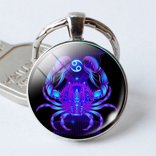 

Zodiac Sign Keychain 12 Constellation Pendant Single Face Keyring