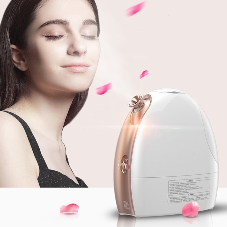 Hot and Cold Spray Fruit and Vegetable Steaming Face Device Nano Spray  Water Replenishing Instrument Beauty Instrument, CN Plug(Rose Gold)
