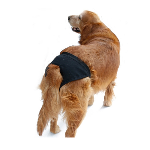 תחתון יחום לכלבה של טרקסי Trixie protective pants for female dogs  רצועות  קולרים ומחסומים  אביזרים לכלב  כל טוב לחי מזון ציוד לחיות מחמד