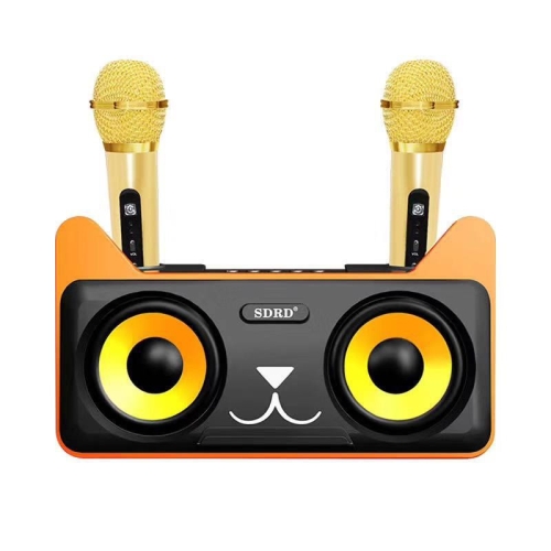 SDRD SD 305 2 1 Family KTV Portable Wireless Live Dual