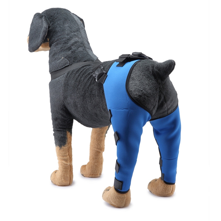 

Pet Dog Leg Knee Guard Surgery Injury Protective Cover, Size: S(Blue)