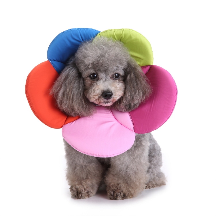 Pet Protection Collar Dog Flower Protection Collar, Specification: L(Rainbow )
