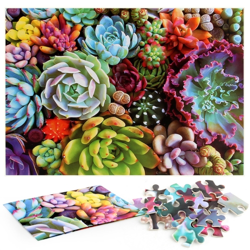 

1000 Pieces Adult Puzzle Succulent Plants Puzzle Toy, Style: Ordinary