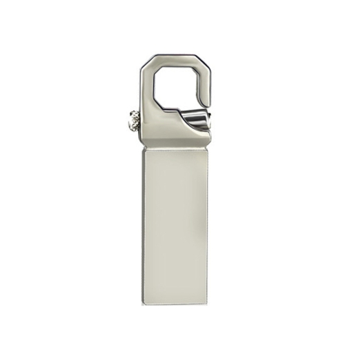 

ZHP250 USB 2.0 Keychain Waterproof USB Flash Drive, Capacity:4GB(Silver)