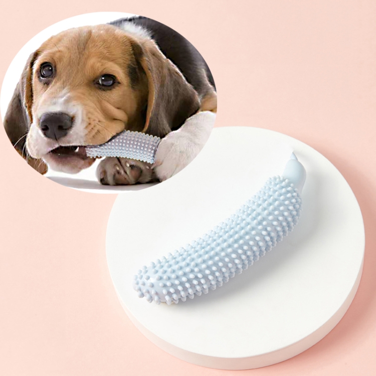 

Cucumber Shaped Pet Molar Stick(Blue)
