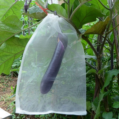 

15 PCS Fruit & Vegetable Insect-Proof And Bird-Proof Nylon Mesh Bag, Specification: 45x30cm