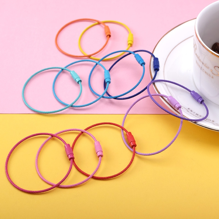 

20 PCS Colorful Paint Steel Wire Rope Car Key Ring DIY Accessories(Color Random Delivery)