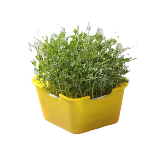 

3 PCS Bean Sprout Germination Pot Soilless Culture Hydroponic Vegetable Seedling Tray(Yellow)