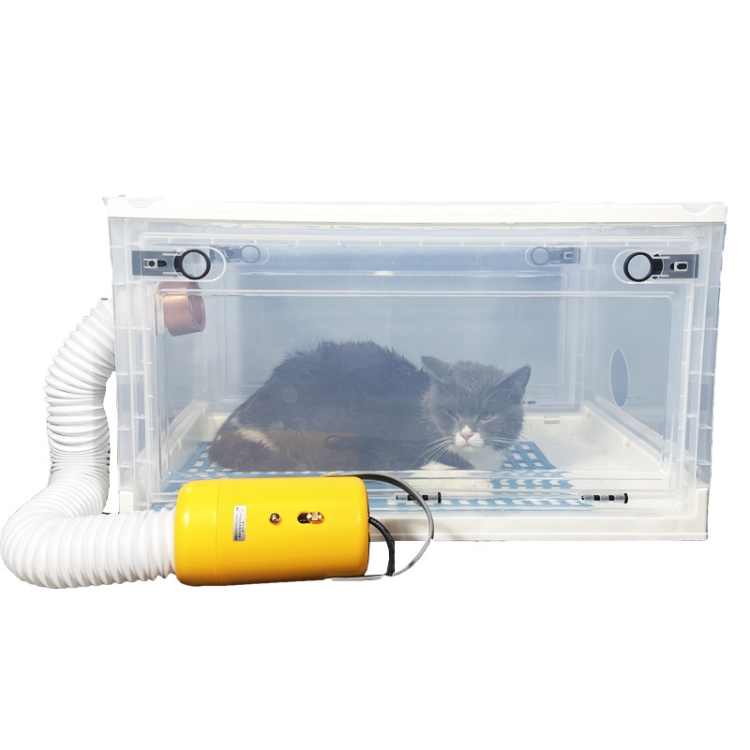 

Pet Drying Box Water Blower Small Cat and Dog Bath Hair Dryer for Pets Under 2.5 kg