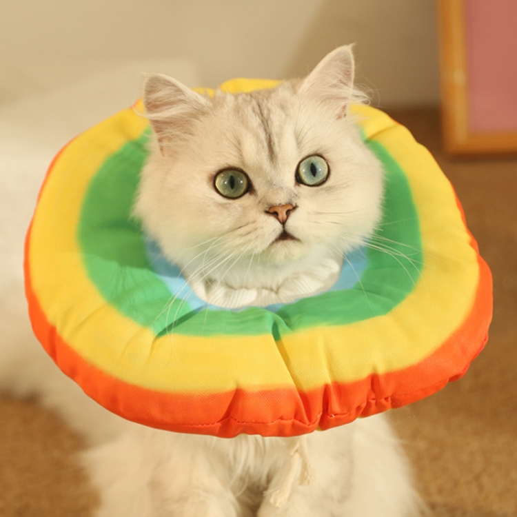 

Cat Elizabeth Collar Kitten Anti-licking Collar Head Cover, Size: L(Rainbow)