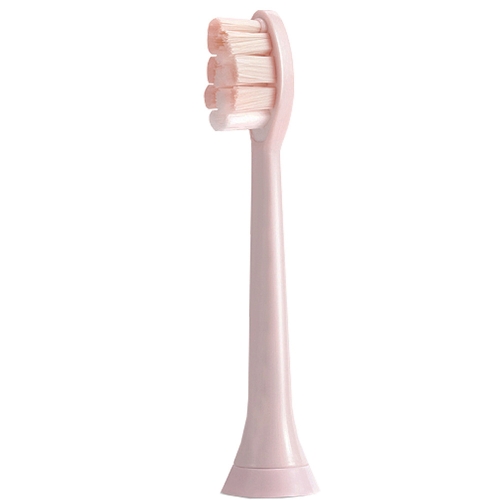 2 STUKS Tandenborstelkop Voor HX3/HX6/HX9 Serie Care Pink)