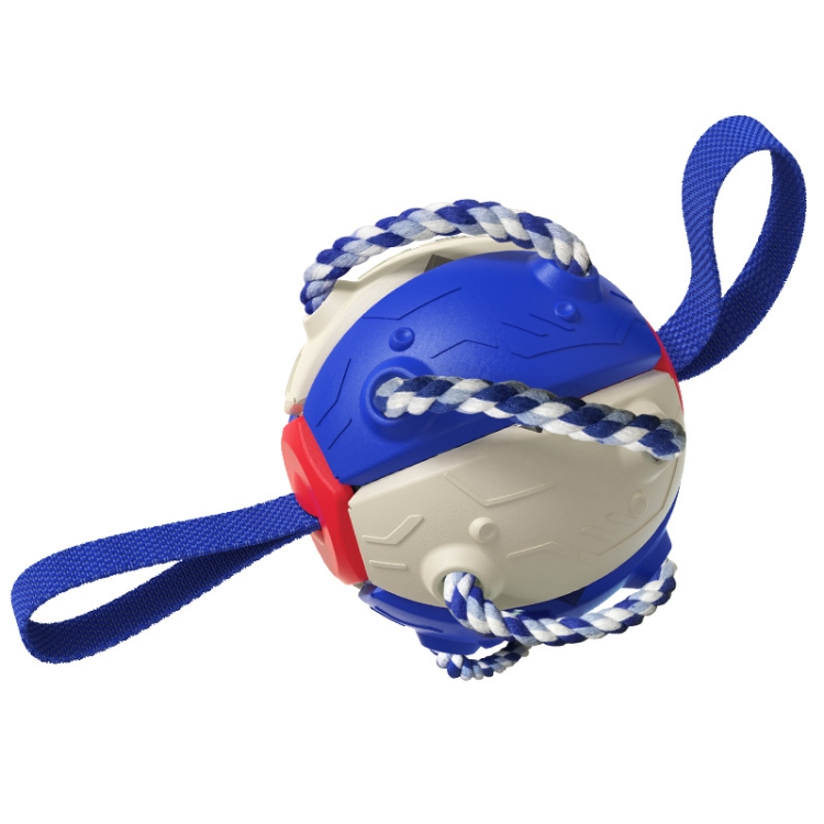 

084DT Pet Outdoor Training Interactive Flying Tray Football Dog Toys(Blue White)