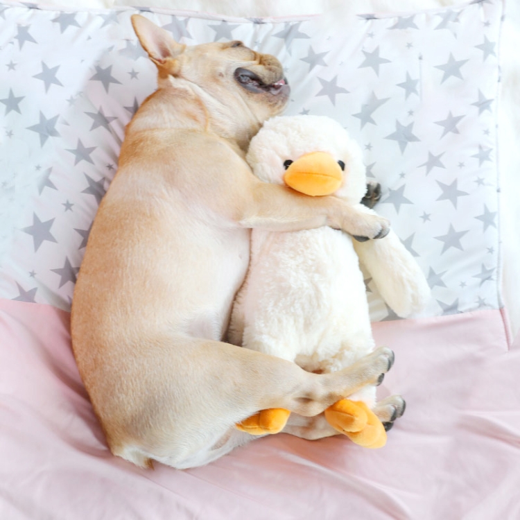 

Hoopet Dog Biting Toy Pet Plush Duckling Sound Toy Small