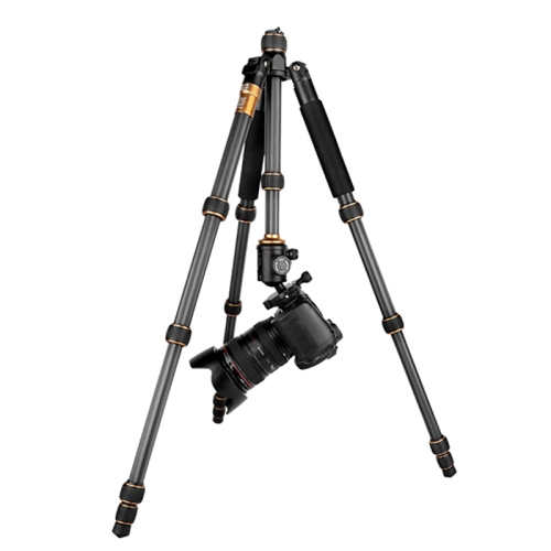 qingzhuangshidai tripod