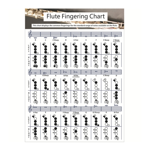 

Coated Paper Flute Chord Fingering Practice Chart Staff Chord Fingering(Small)