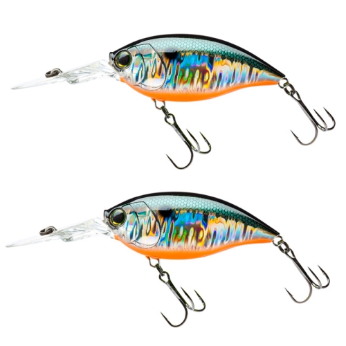 

CB034/E 2pcs Inner Laser Deep Dive Sea Fishing Rock Fat Fake Bait Plastic Stiff Bait