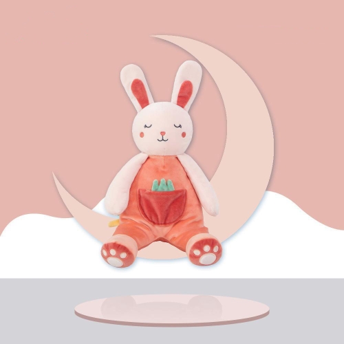 

Cartoon Baby Sleep Comfort Dolls Importable Baby Plush Toys (Rabbit Doll)