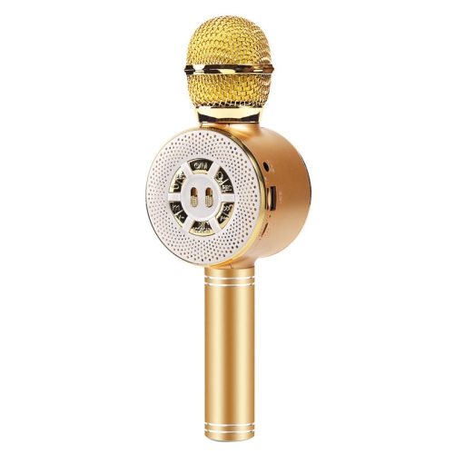 

WS-669 Multifunctional RGB Light Effect Wireless Bluetooth Microphone with Audio Function(Gold)