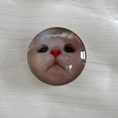 

5pcs Crystal Ball Airbag Bracket Desktop Retractable Back Stick Cell Phone Holder(Big Head Cat)