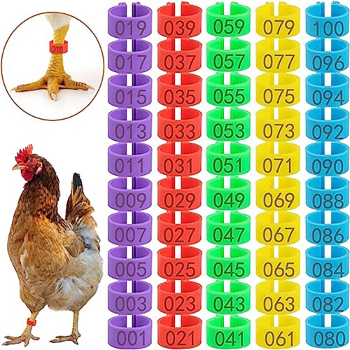 100pcs /Pack 16mm Chicken Leg Rings With Numbered For Ducks Chicks Guinea Pigeons Goose