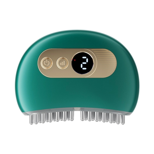 

Bianstone Gua Sha Comb EMS Facial Lifting Scalp Nourishing Massager Meridian Brush(Green)