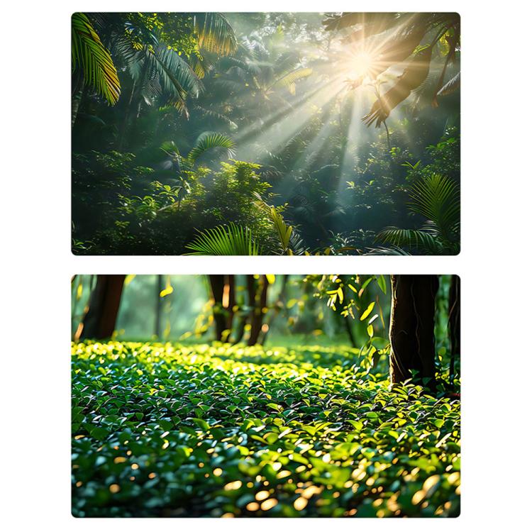 

57 x 87cm Double-sided 3D Forest Photography Background Paper Photography Props(03)