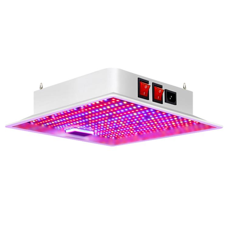 

Segmented 416 Beads LED Full-Spectrum Plant Growth Lamp Vegetable Irradiation Fill Light(US Plug)