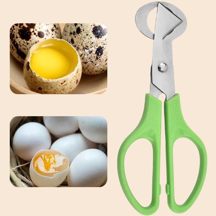 

LsCook Quail Egg Scissors Stainless Steel Egg Cutter(Green)