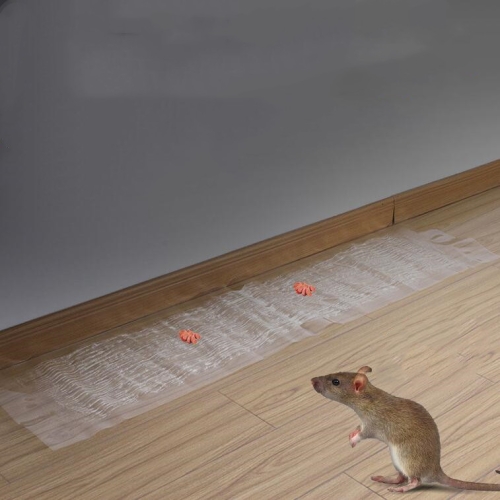 

Anti-rodent Strong Sticky Board Transparent Sticky Mouse with Mousetrap Glue