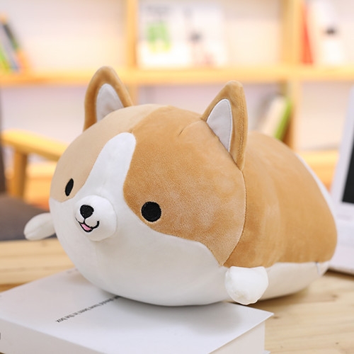 corgi miniso