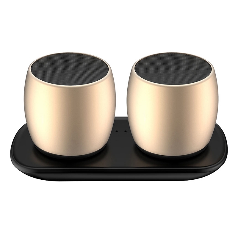 SARDiNE F1 Aluminium Alloy Stereo Wireless Bluetooth Speaker with Charging Dock, Support Hands-free(Gold)