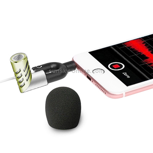 R1 Mini Condenser Record Microphone