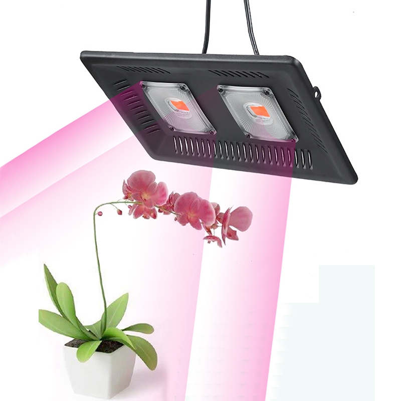 100W Ultra-Thin LED Plant Light, Full Spectrum COB Growth Light, Vegetable, Fruit & Flower Greenhouse Fill Light Without Plug