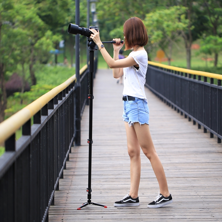 PULUZ Four-Section Telescoping Aluminum-magnesium Alloy Self-Standing Monopod with Support Base Bracket - 13